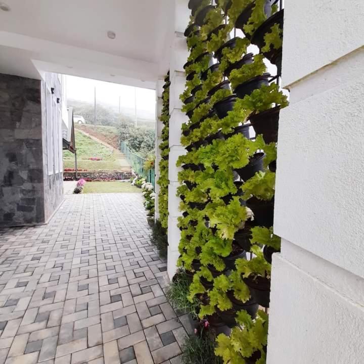 Pensive Villa Nuwara Eliya Zewnętrze zdjęcie